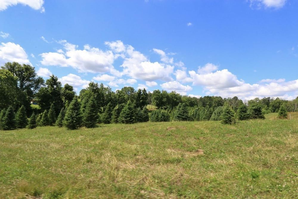Old Log House Plantation Inc: 8656 State Route 13 NW, Somerset, OH 43783